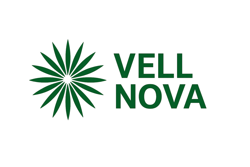 vnovaholdings.com
